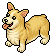 Royal Corgi