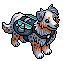 Aussie Shepherd