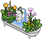 Water Garden