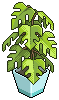 Relaxation Plant