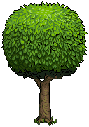 Habbo Hotel