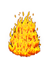 Beach Bonfire