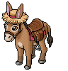 Daphne the Donkey