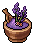 Lavender Salt