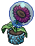 Space Plant