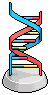 DNA model