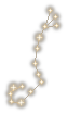 Scorpio Constellation