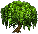 Wondrous Weeping Willow