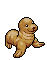 Cute Sea Lion Pup