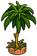 Sunset Cafe Palm Tree