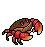 Mangrove Crab