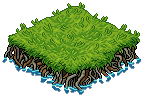 Grassy Lagoon Patch