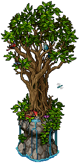 Sacred Lagoon Tree