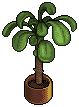 theatre_plant name