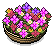 Tiki Lei