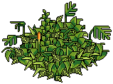 Tiki Jungle Rug