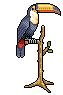 Tiki Toucan