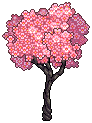 Tokyo Sakura Tree