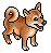 Shiba Inu Puppy