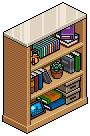 Dorm Bookshelf