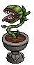 Hungry Monster Plant