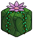 Mystery Leaf Gift