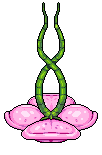 Hanging Love Flower