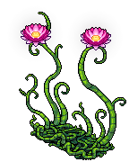 The Vines Of Love