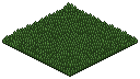 Grass Patch