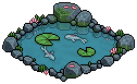 Koi Fish Pond