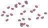 Sakura Petals
