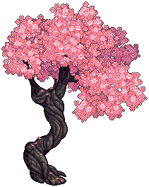 Sakura tree