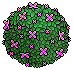Floral Karikomi