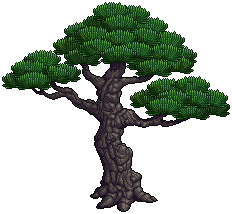 Giant Bonsai Tree