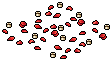 Romantic Petals