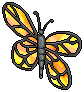 Enchanting Butterfly