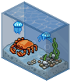 King Crab Tank