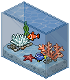 Tropical Fish Tank