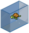 Turtle Tank