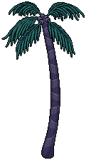 Miami Fan Palm