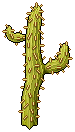 Spiky Cactus