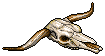 Longhorn Skull