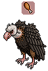 Black Vulture