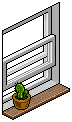 Basic Window