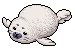 Harp Seal