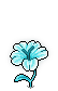 Star Flower