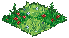 Wonderland Grass