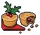 Mince Pies