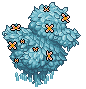 Icy duck shrub