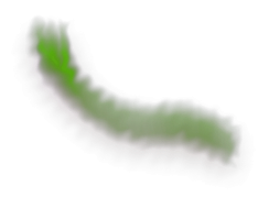 Aurora Borealis